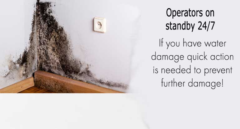 <div class='alignleft'><h3>Mold Damage</h3><span class='desc'>Untreated Water Damage!</span></div><p> If water damage isn’t cleaned up inside of thirty-six hours mildew and mold could develop and leave you with alot more than a water damage cleanup job..</p>