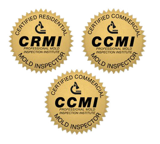 CCMI commercial mold inspector badge