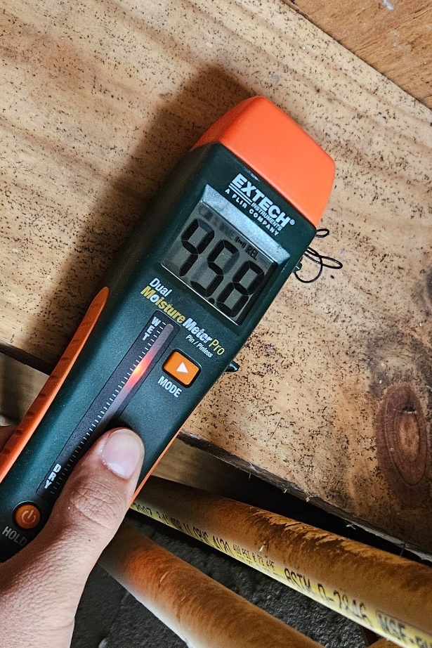 Moisture meter reading 99.8% on plywood joist in North Alabama crawlspace