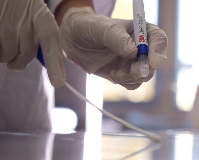 Technician performing targeted surface swab for mold lab analysis